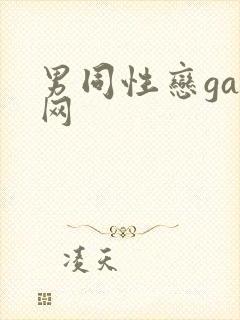 男同性恋gay网