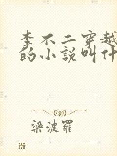 李不二穿越大秦的小说叫什么