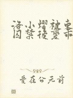 洛小熠被东方末囚禁后变乖了的小说