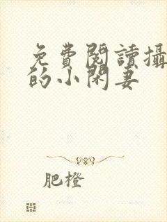 免费阅读摄政王的小闲妻封面