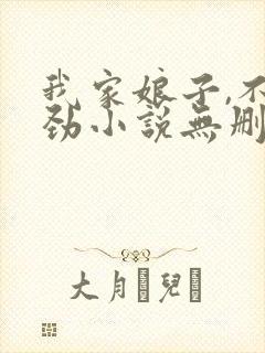 我家娘子,不对劲小说无删减