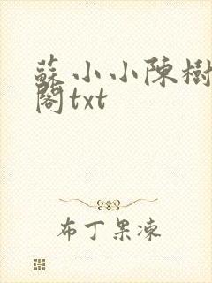 苏小小陈树笔趣阁txt