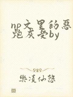 np文里的恶毒炮灰受by