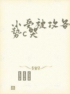 小受被攻各种姿势c哭封面