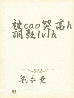 被cao哭高h调教1v1h