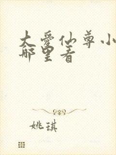 大爱仙尊小说在哪里看封面