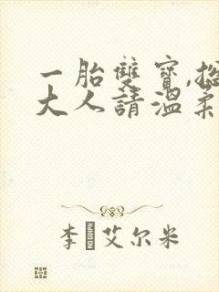一胎双宝,总裁大人请温柔