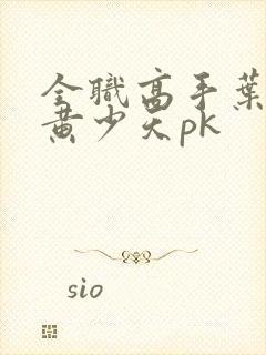 全职高手叶修和黄少天pk