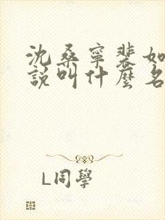 沈桑宁裴如衍小说叫什么名字