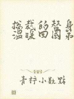 总裁的替身前妻温暖回国第几章