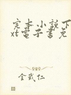 完本小说下载txt电子书免费下载