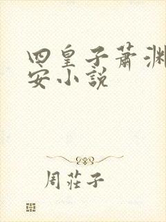 四皇子萧渊沈安安小说封面