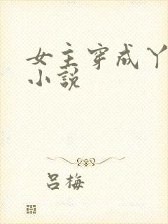 女主穿成丫鬟的小说