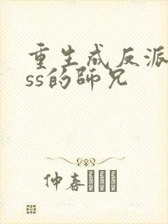 重生成反派boss的师兄