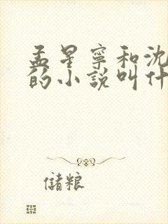 孟星宁和沈知聿的小说叫什么名字