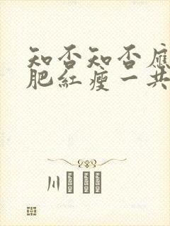知否知否应是绿肥红瘦一共几集