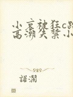 小哀被狂c躁到高潮失禁小说