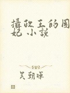 摄政王的团宠医妃 小说