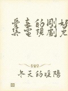 爱来的刚好60集电视剧免费观看