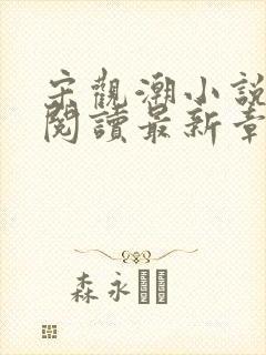 宋观潮小说免费阅读最新章节封面