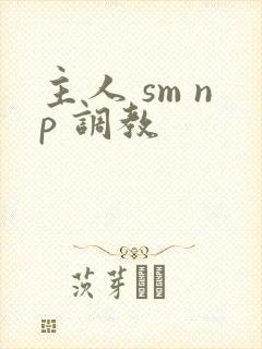 主人 sm np 调教封面
