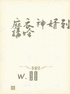 麻衣神婿到底在讲啥