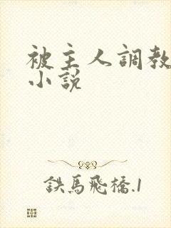 被主人调教sm小说