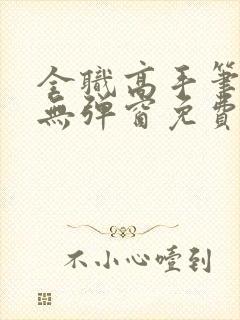 全职高手笔趣阁无弹窗免费阅读