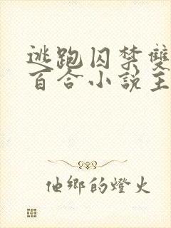 逃跑囚禁双女主百合小说主受