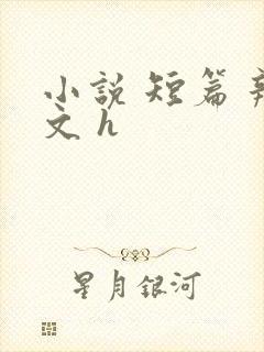小说 短篇 辣文 h