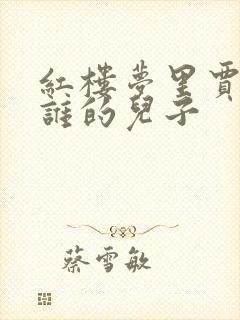 红楼梦里贾珠是谁的儿子