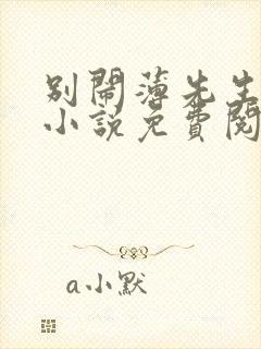 别闹薄先生正版小说免费阅读封面