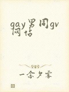 gay男同gv网站