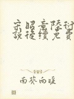 宋昭意陆衍辞小说后续免费阅读