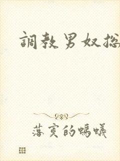 调教男奴总裁受封面