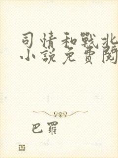 司情和战北霆的小说免费阅读