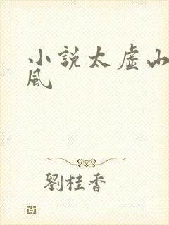 小说太虚山李道风