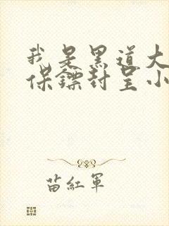 我是黑道大佬的保镖封呈小说