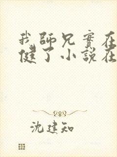 我师兄实在太稳健了小说在哪里看封面