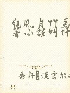 观风月竹马篇原著小说叫什么名字封面