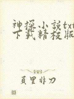 神探小说txt下载精校版