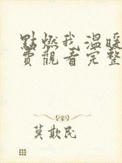 点燃我温暖你免费观看完整版封面