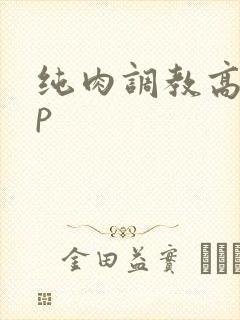 纯肉调教高hnp封面