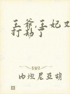 王爷,王妃又去打劫了