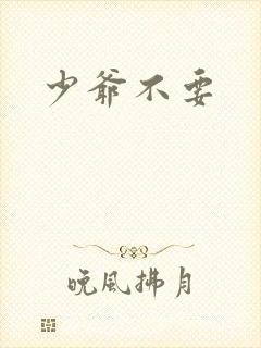 少爷不要