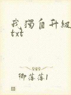 我独自升级原著txt