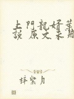上门龙婿叶辰小说 原文未删减封面
