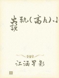 出轨(高h)小说