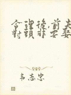 合理后,前夫死对头非要娶我