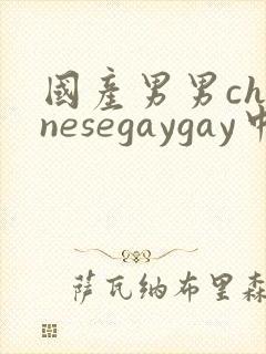 国产男男chinesegaygay中国帅哥网站